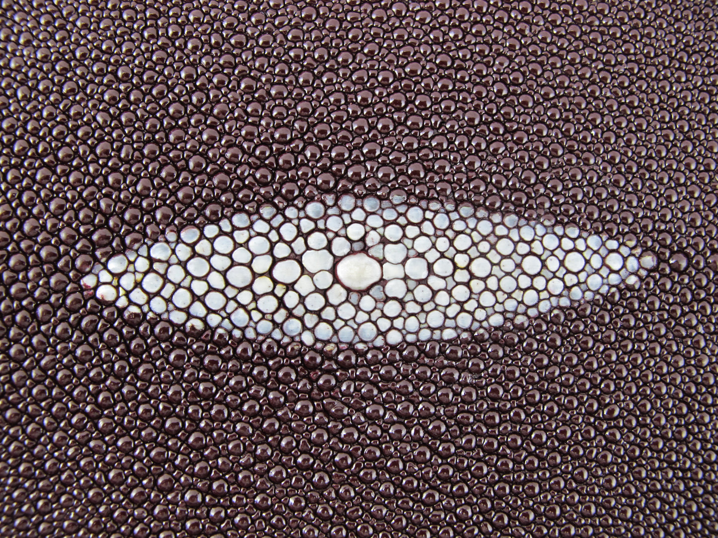 Genuine Stingray Skin Leather Long Shape Hide Pelt Wine Red