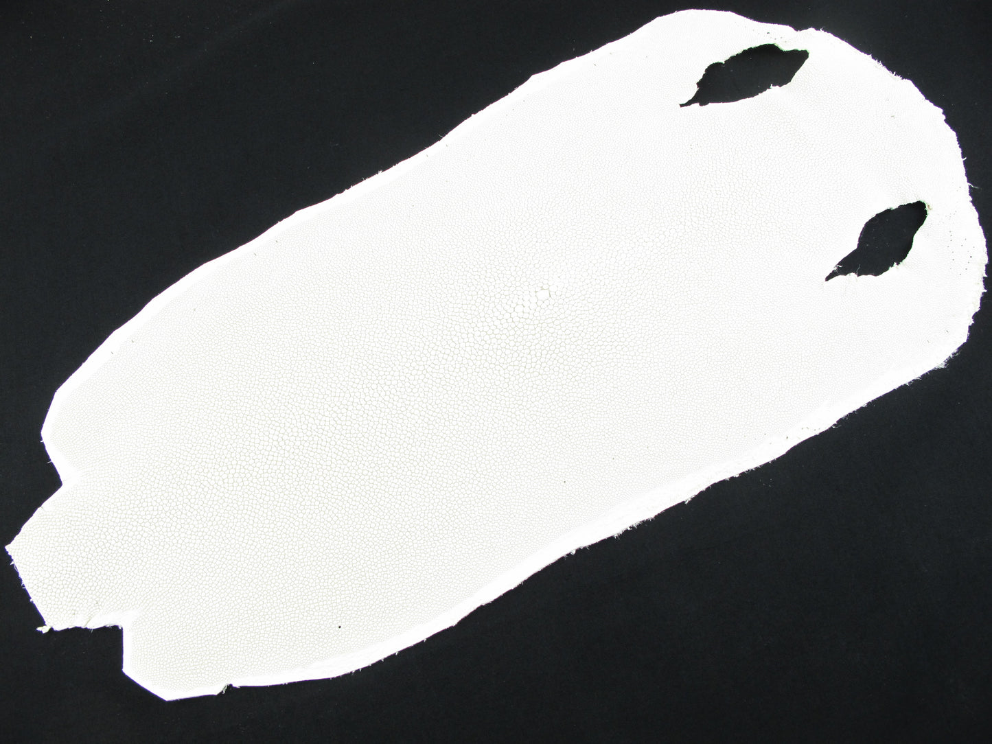 Genuine Stingray Skin Leather Long Shape Hide Pelt White