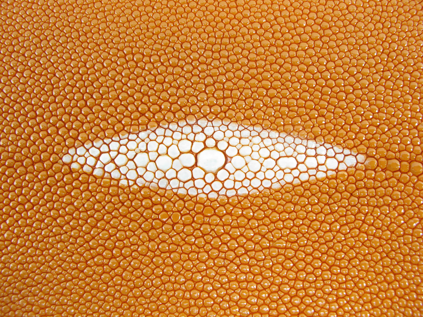 Genuine Stingray Skin Leather Long Shape Hide Pelt Yellow Orange