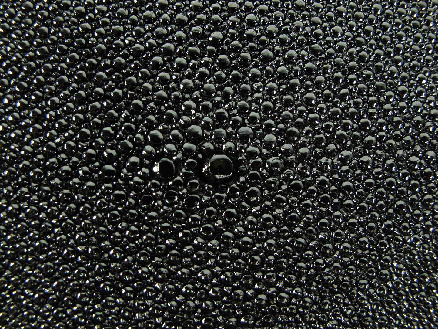 Genuine Stingray Skin Leather Round Shape Hide Pelt Black