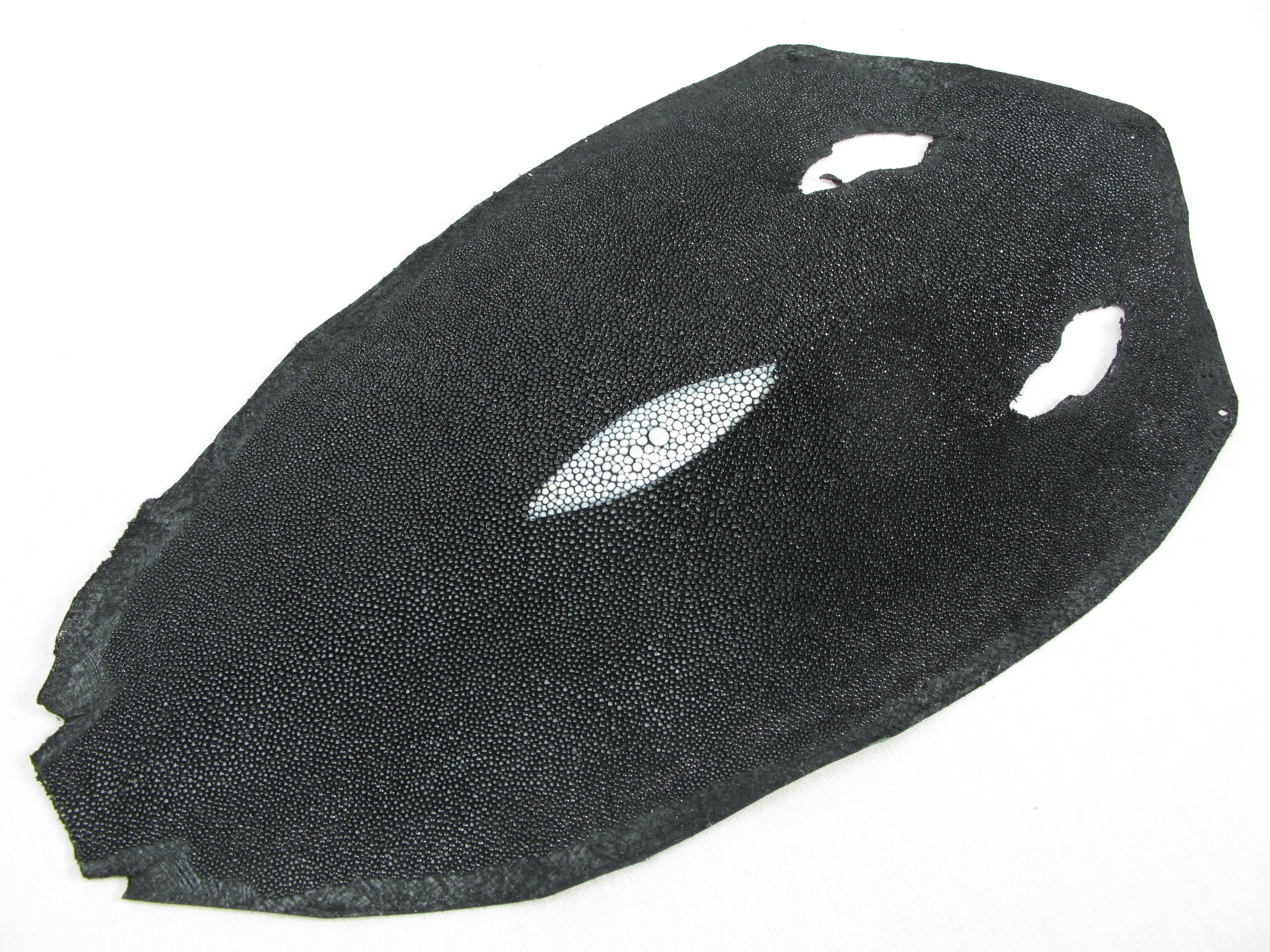Stingray Skins / Hides – PELGIO