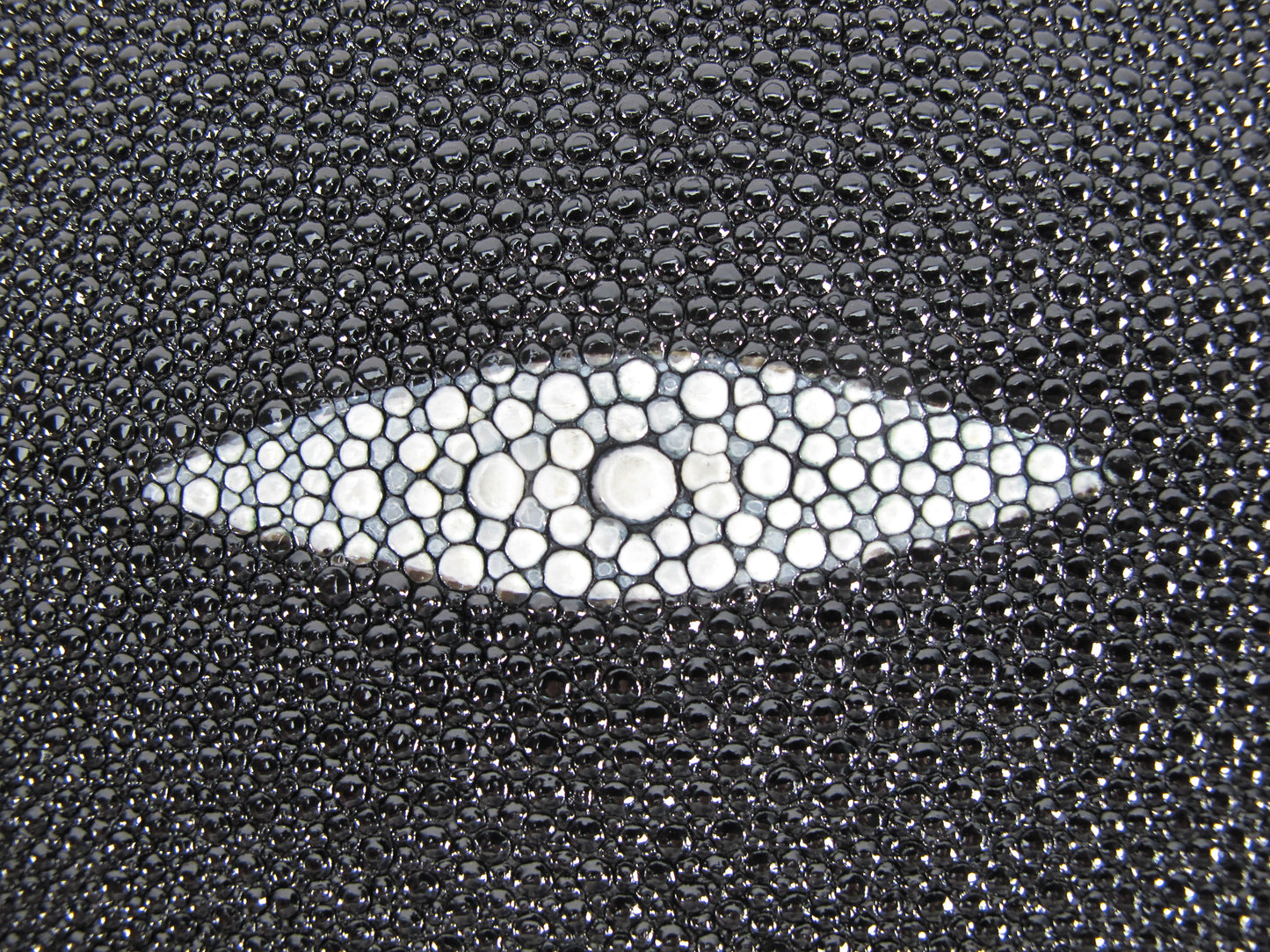 Genuine Stingray Skin Leather Round Shape Hide Pelt Black