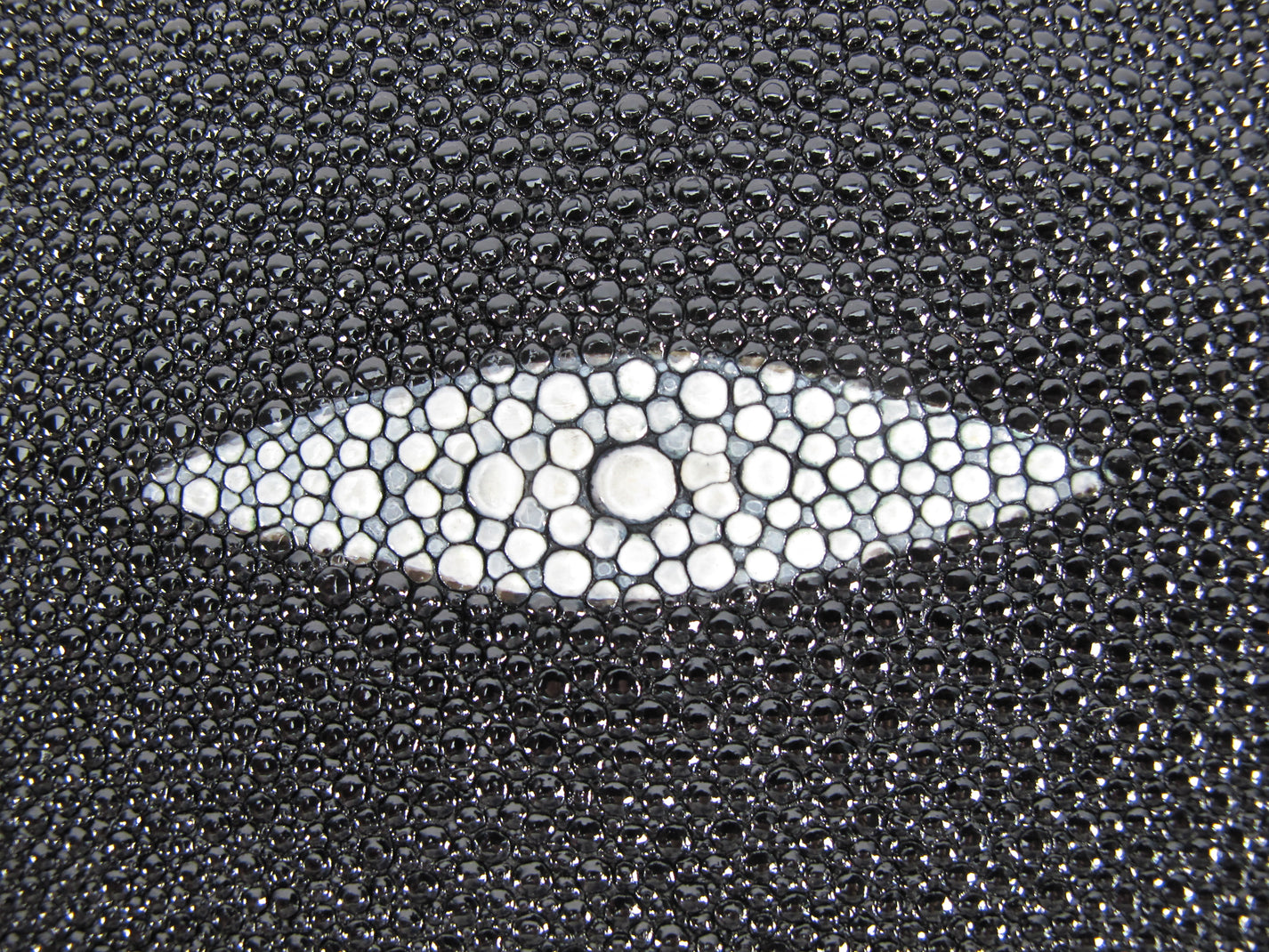 Genuine Stingray Skin Leather Round Shape Hide Pelt Black – PELGIO