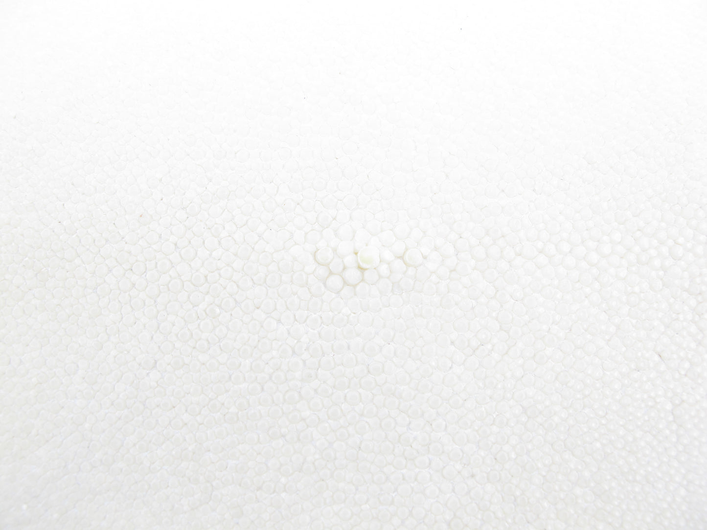 Genuine Stingray Skin Leather Round Shape Crust Hide Pelt