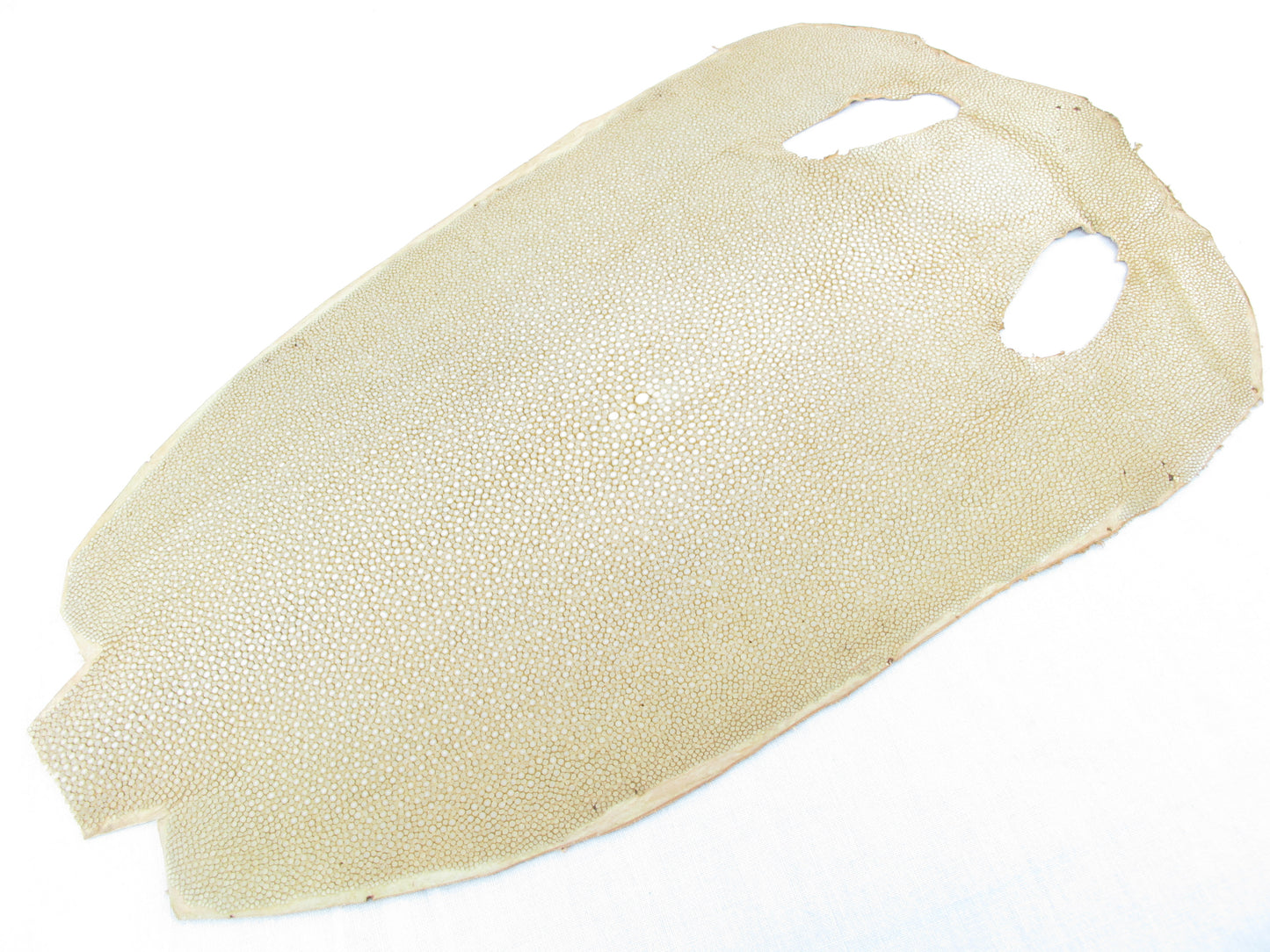 Genuine Polished Stingray Skin Leather Round Shape Hide Pelt Brown