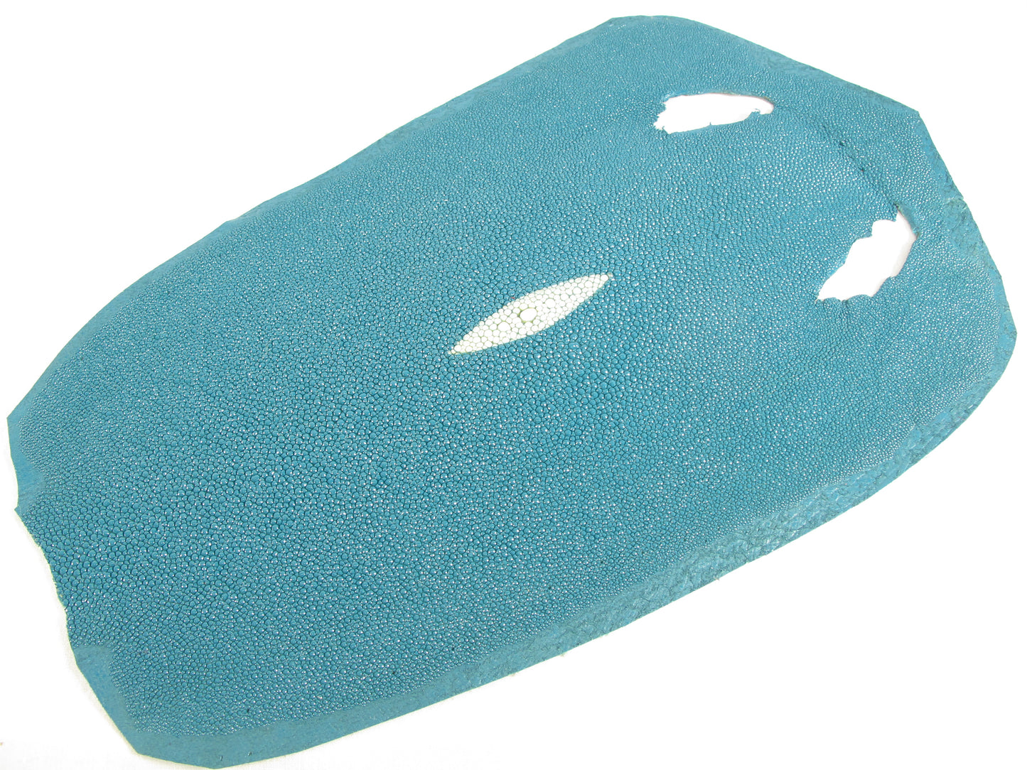 Genuine Stingray Skin Leather Round Shape Hide Pelt Water Blue