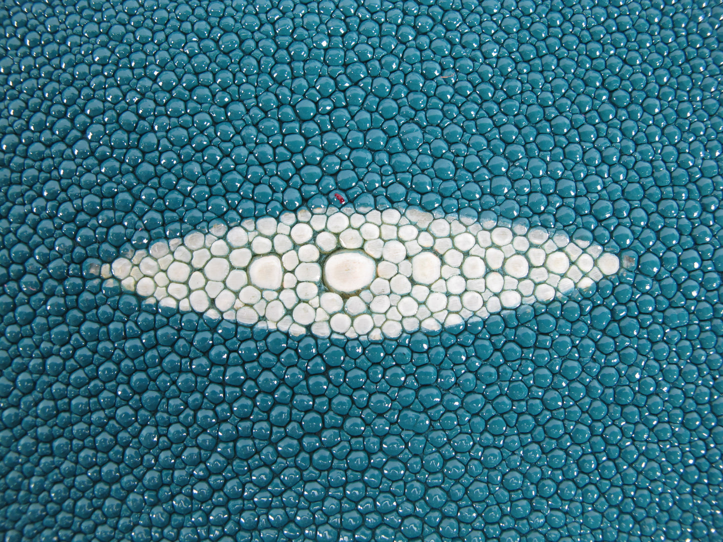 Genuine Stingray Skin Leather Round Shape Hide Pelt Water Blue