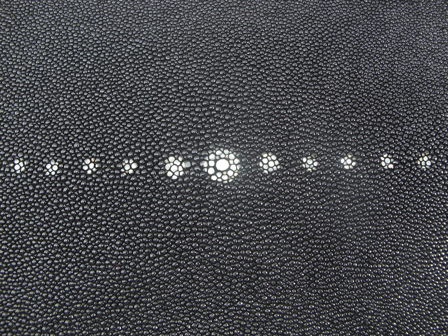 Genuine Stingray Skin Leather Long Shape Hide Pelt Black