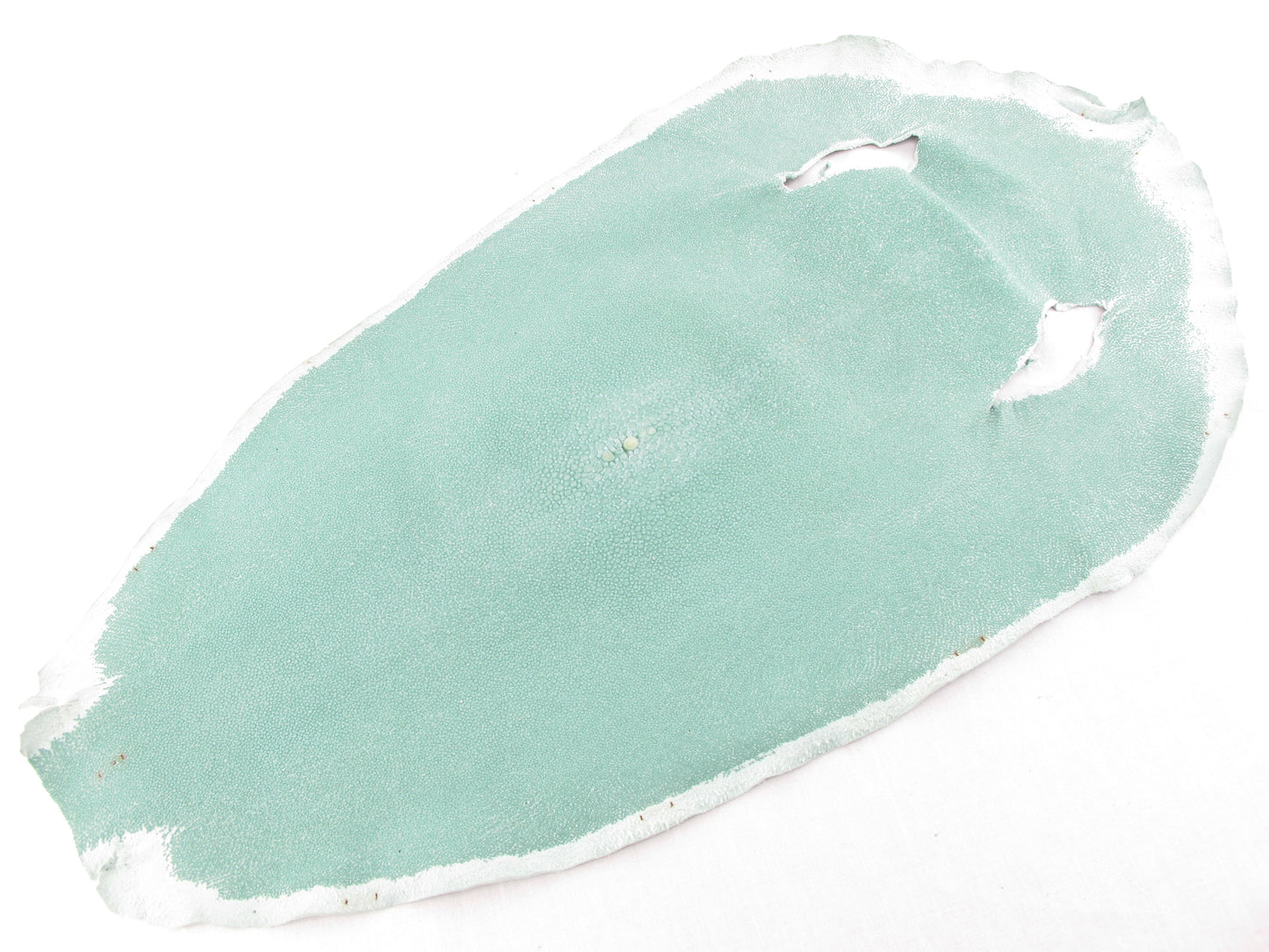 Genuine Stingray Skin Leather Round Shape Crust Hide Pelt