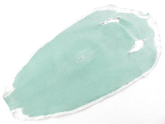 Genuine Stingray Skin Leather Round Shape Crust Hide Pelt