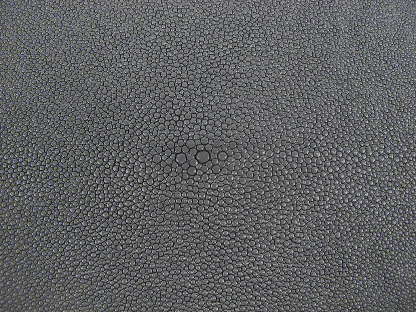 Genuine Stingray Skin Leather Round Shape Hide Pelt Traffic Grey