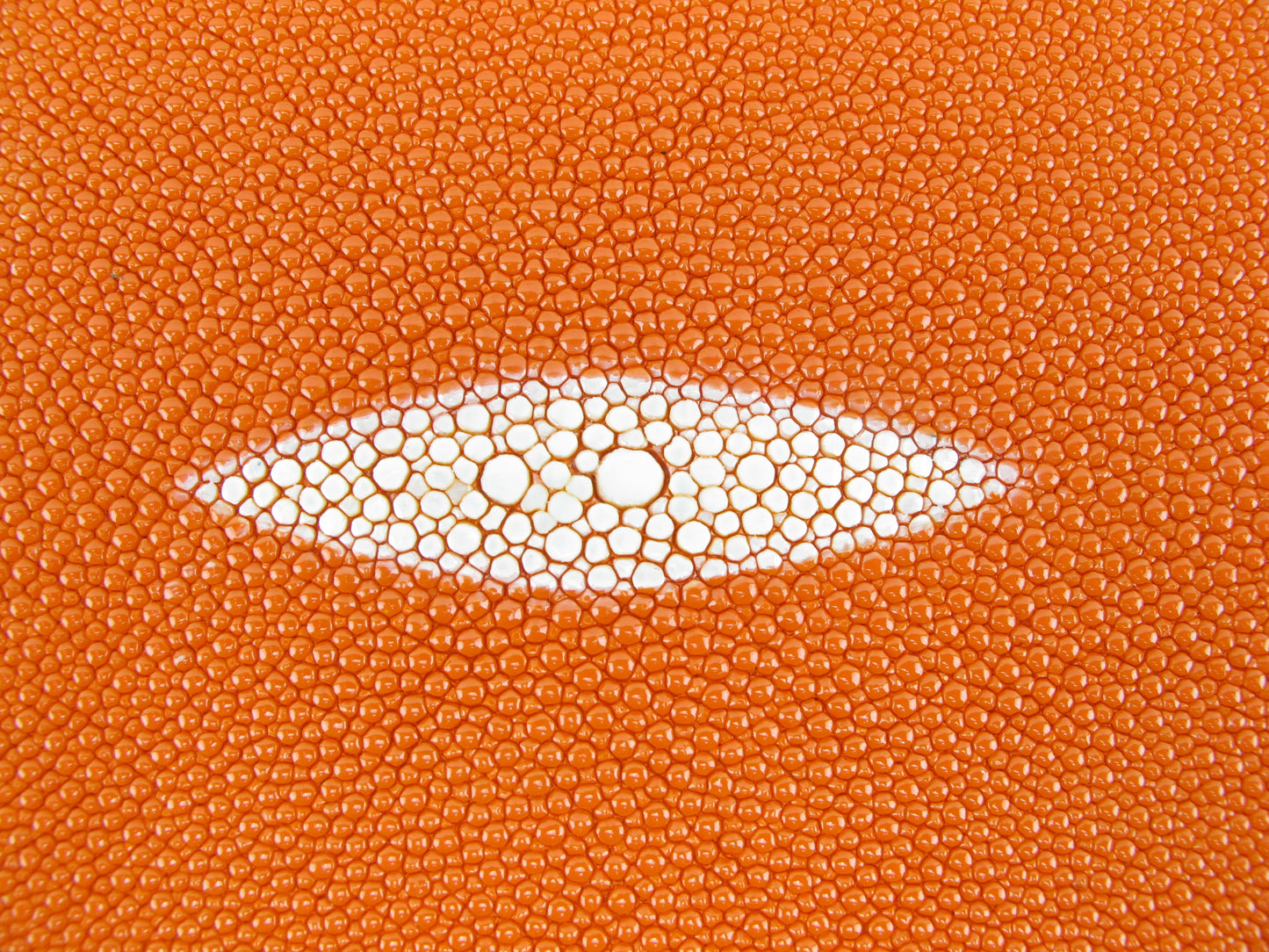 Genuine Stingray Skin Leather Round Shape Hide Pelt Traffic Orange