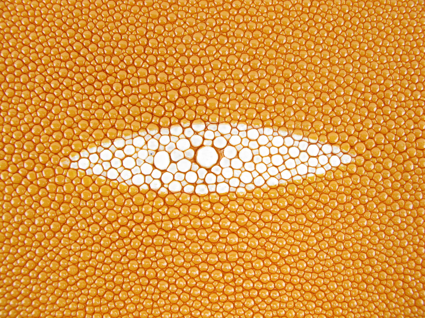 Genuine Stingray Skin Leather Round Shape Hide Pelt Yellow Orange