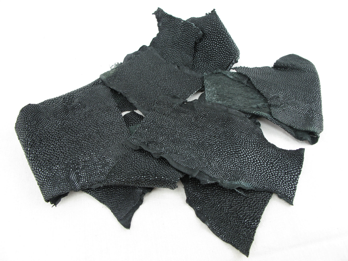 Genuine Stingray Skin Leather Scraps Hide Pelt 100 grams