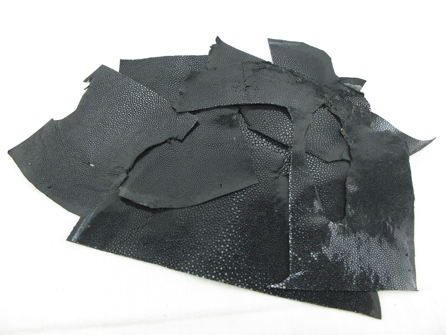 Genuine Polished Stingray Skin Leather Scraps Hide Pelt 100 grams