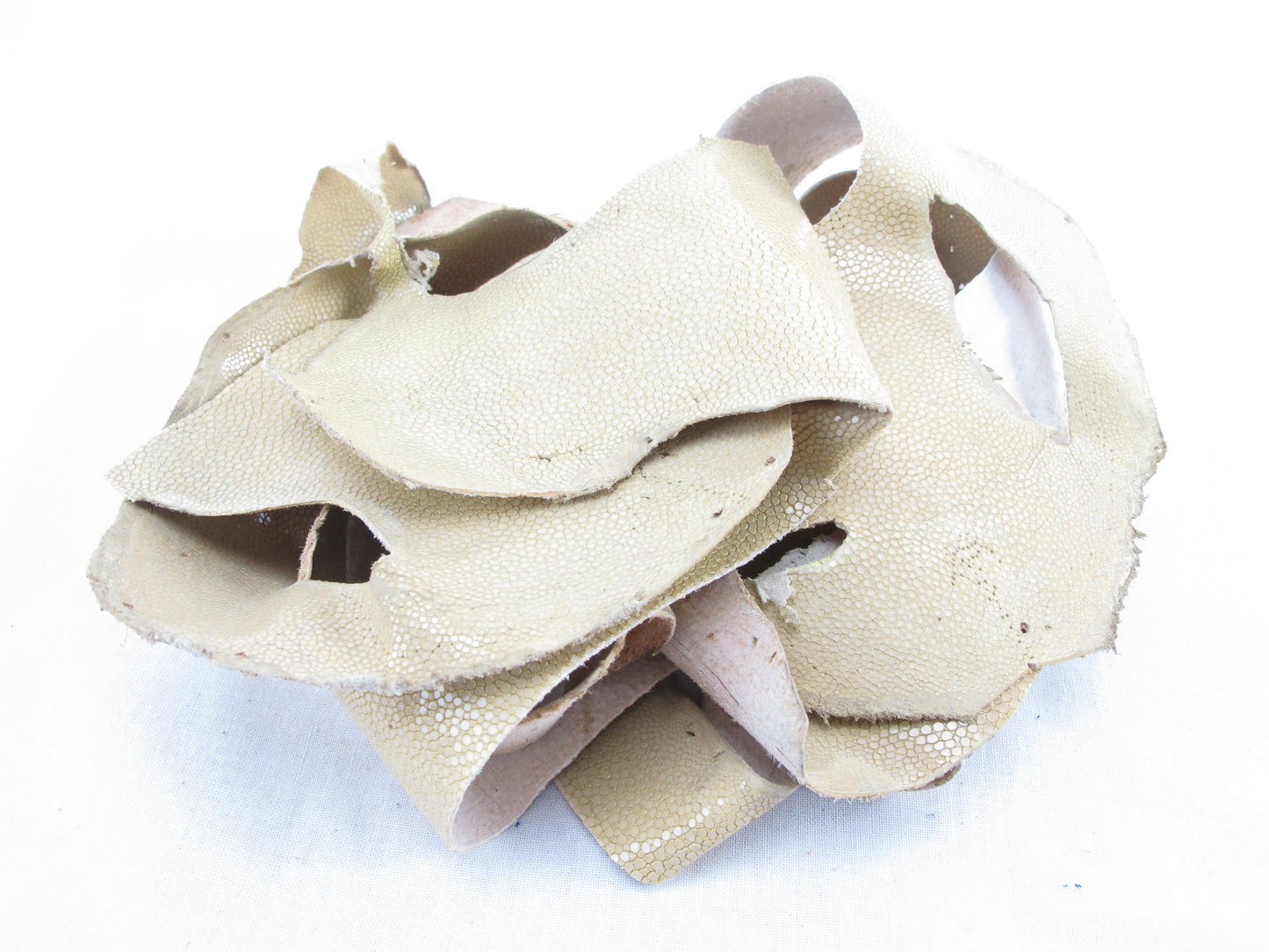 Genuine Polished Stingray Skin Leather Scraps Hide Pelt 100 grams