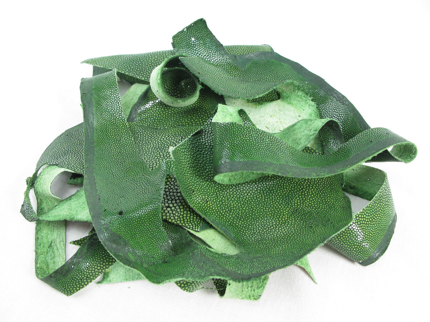 Genuine Polished Stingray Skin Leather Scraps Hide Pelt 100 grams