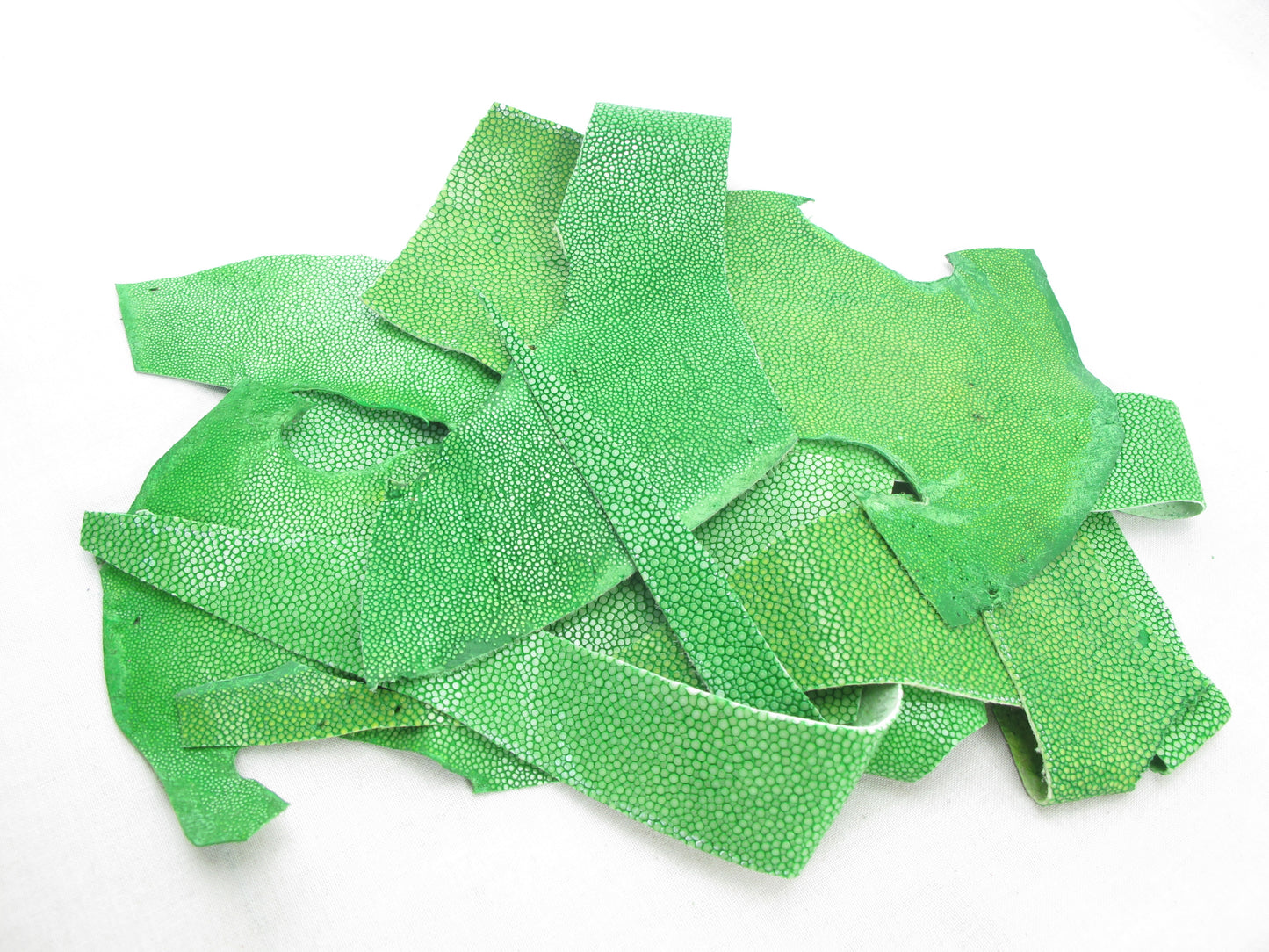 Genuine Polished Stingray Skin Leather Scraps Hide Pelt 100 grams