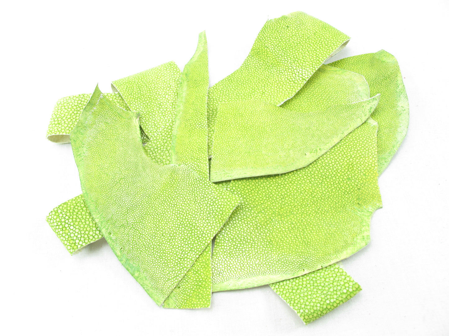 Genuine Polished Stingray Skin Leather Scraps Hide Pelt 100 grams