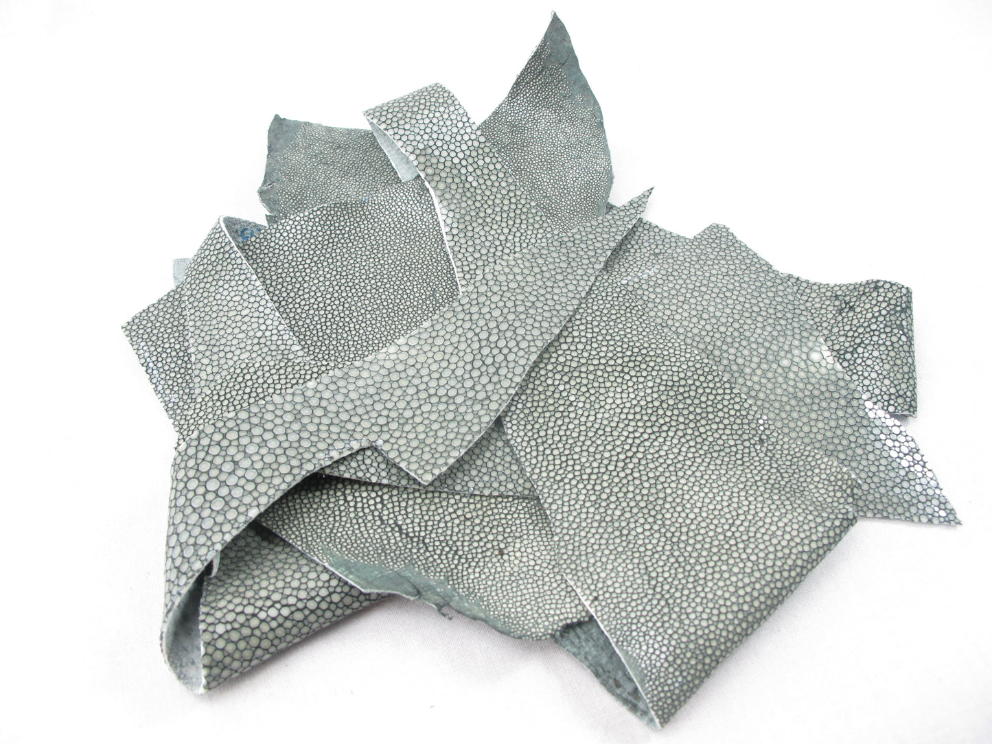 Genuine Polished Stingray Skin Leather Scraps Hide Pelt 100 grams