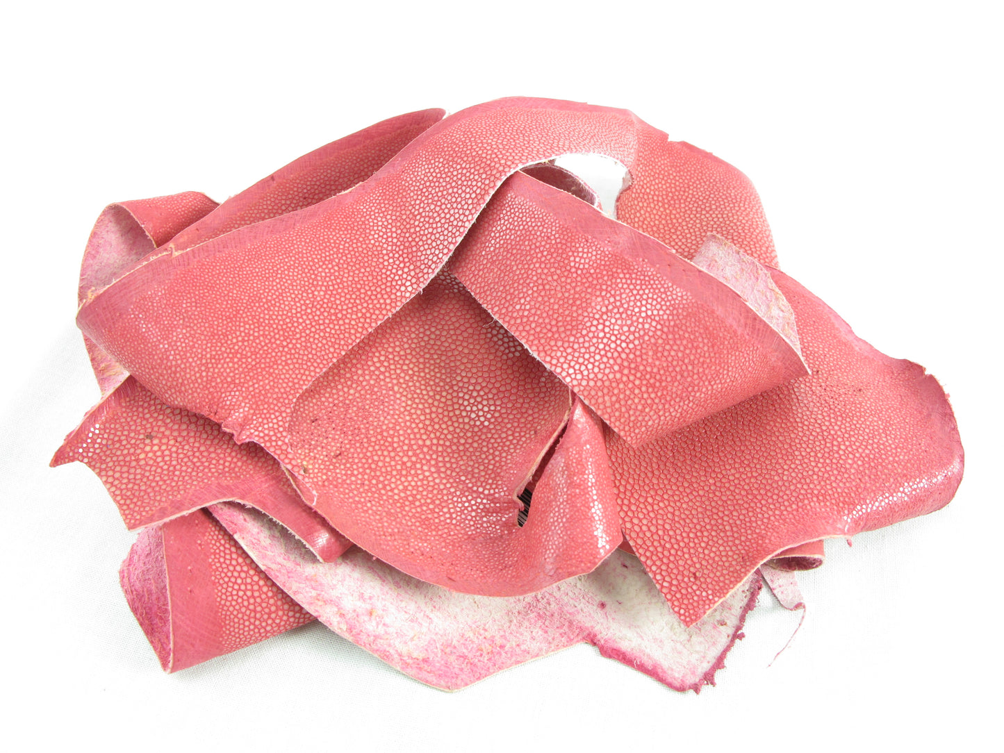 Genuine Polished Stingray Skin Leather Scraps Hide Pelt 100 grams