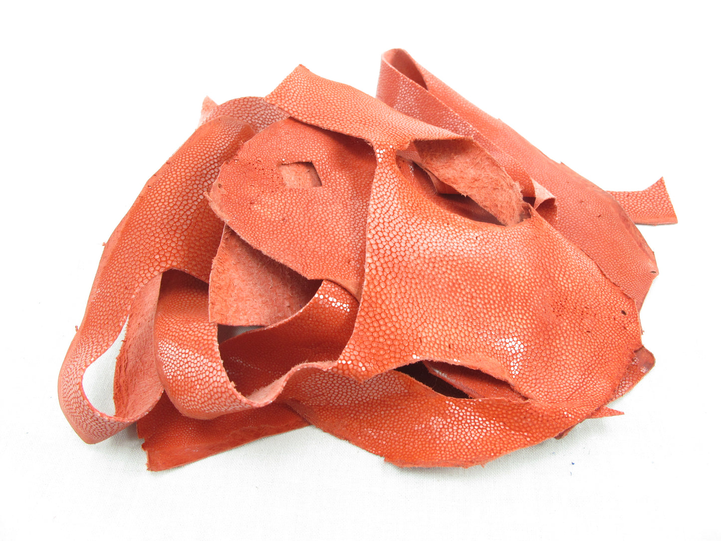 Genuine Polished Stingray Skin Leather Scraps Hide Pelt 100 grams