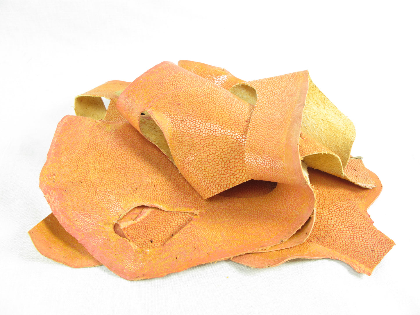 Genuine Polished Stingray Skin Leather Scraps Hide Pelt 100 grams