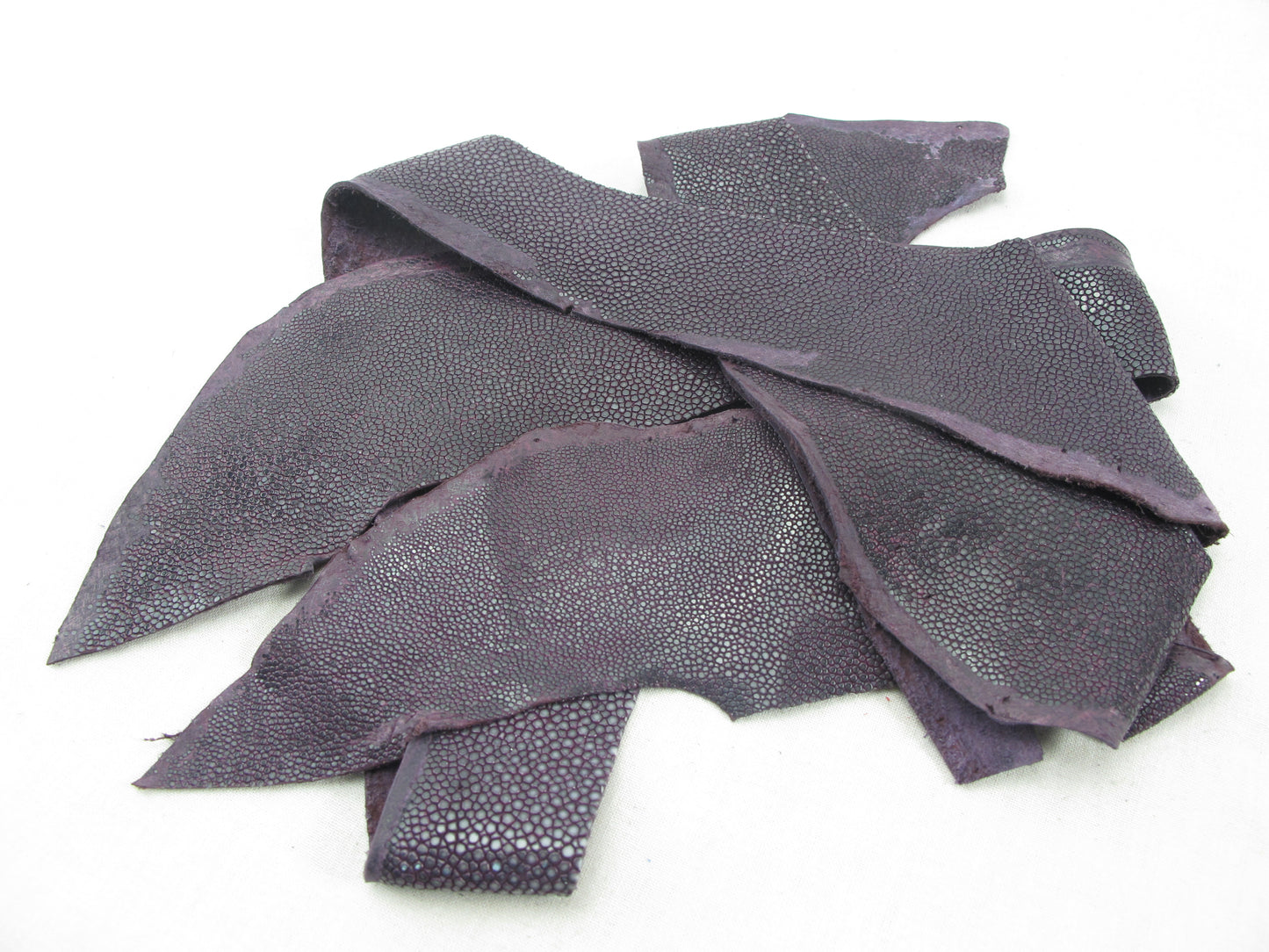 Genuine Polished Stingray Skin Leather Scraps Hide Pelt 100 grams