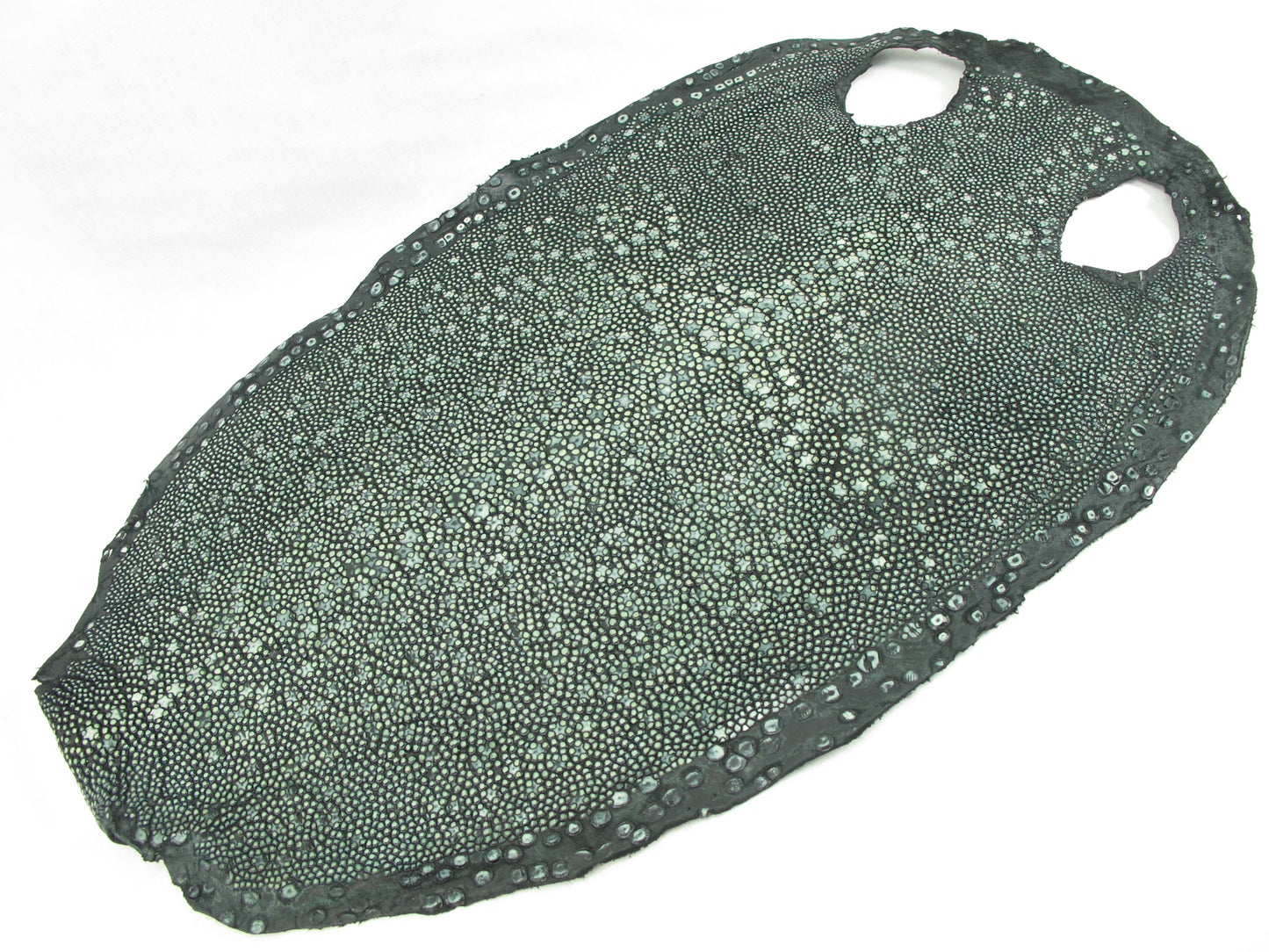 Genuine Polished Porcupine Stingray Skin Leather Hide Pelt Black