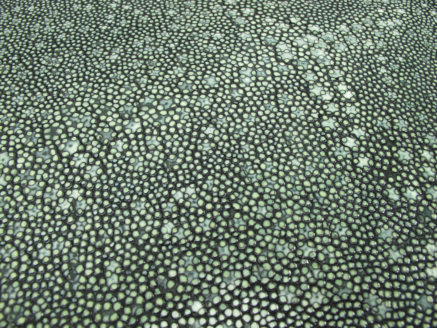 Genuine Polished Porcupine Stingray Skin Leather Hide Pelt Black