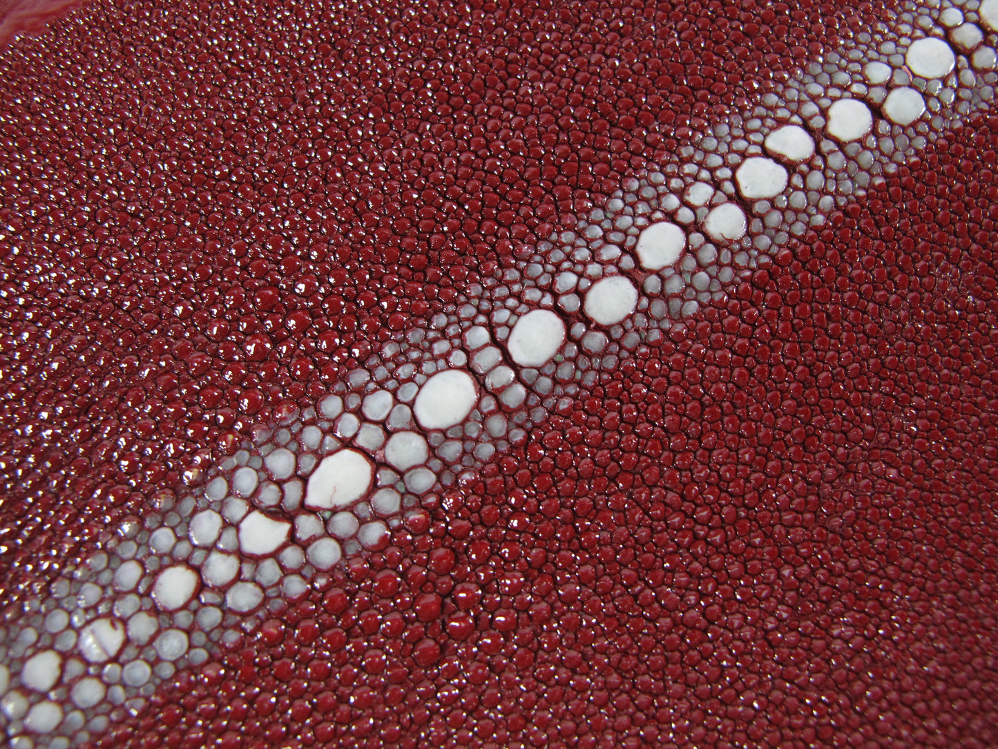 Genuine Stingray Skin Row Diamond Leather Hide Pelt