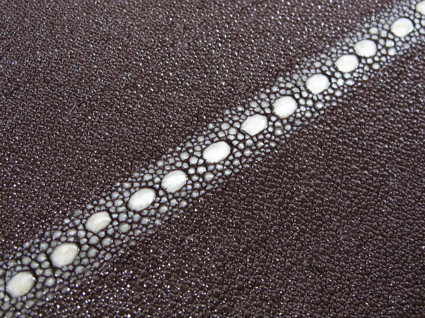 Genuine Stingray Skin Row Diamond Leather Hide Pelt