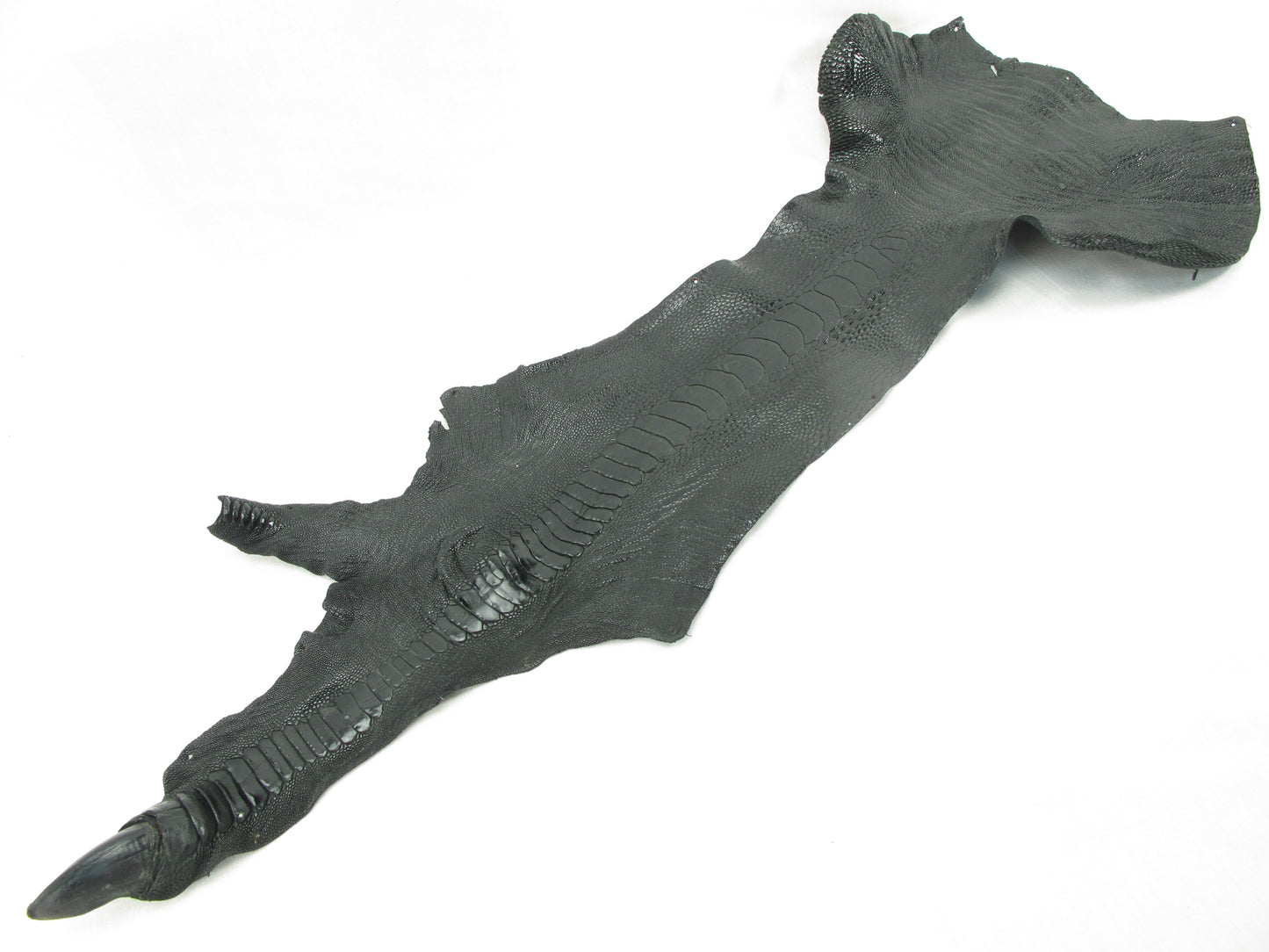 Genuine Ostrich Leg Skin with Claw Leather Hide Pelt