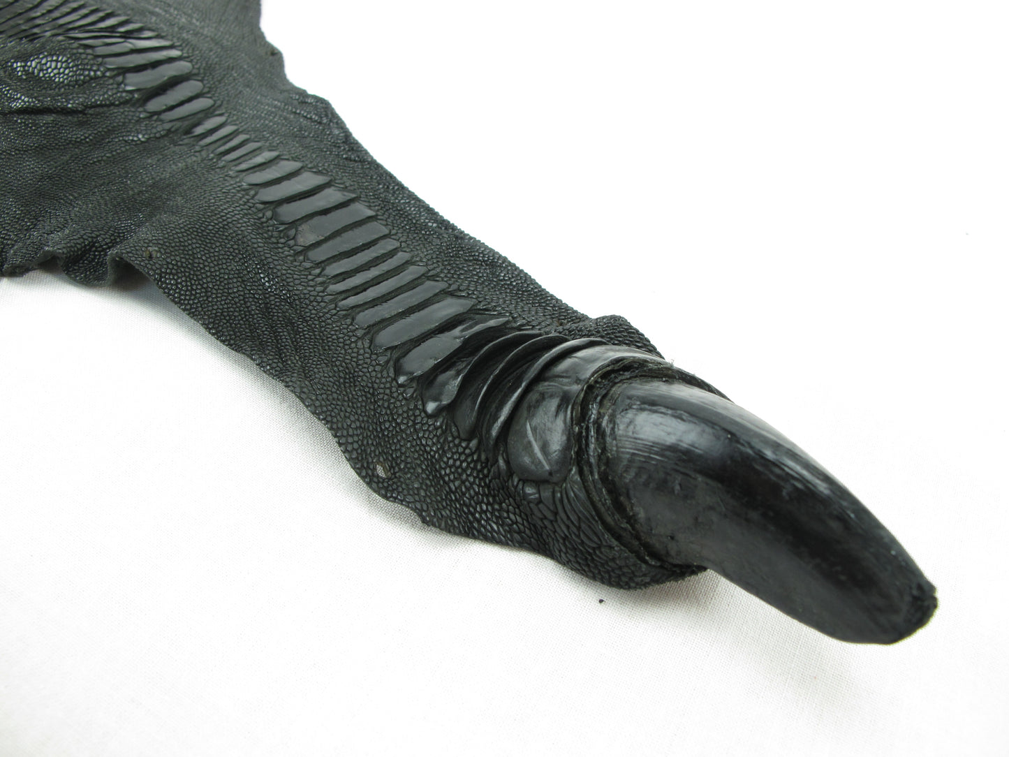 Genuine Ostrich Leg Skin with Claw Leather Hide Pelt