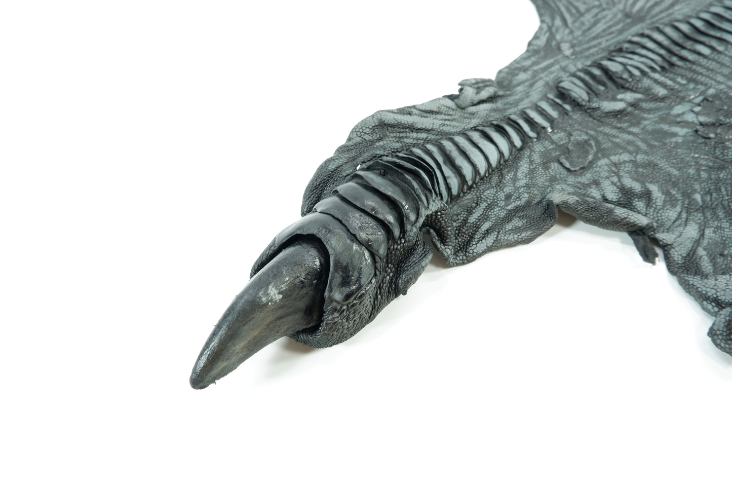 Genuine Ostrich Leg Skin with Claw Leather Hide Pelt