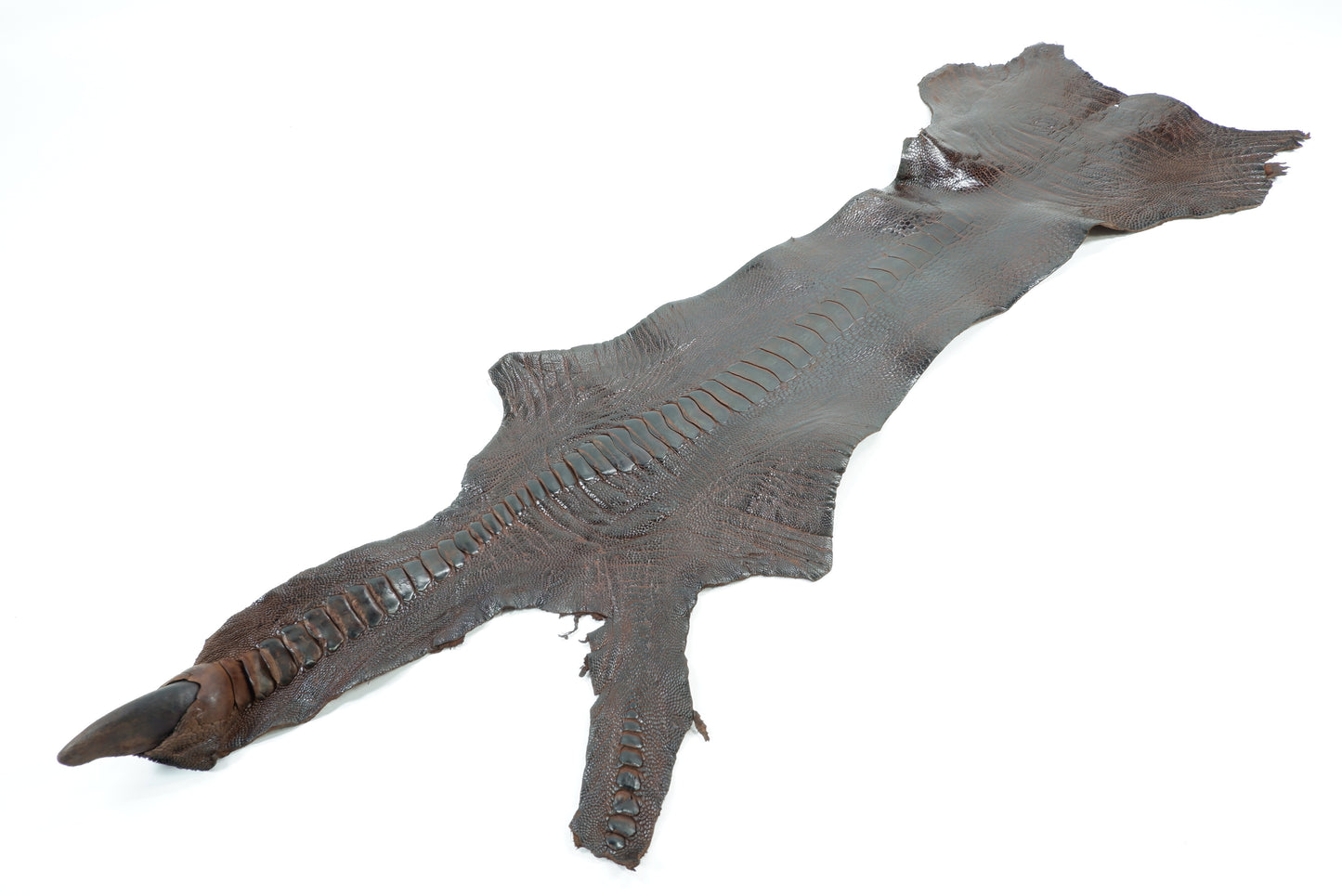 Genuine Ostrich Leg Skin with Claw Leather Hide Pelt