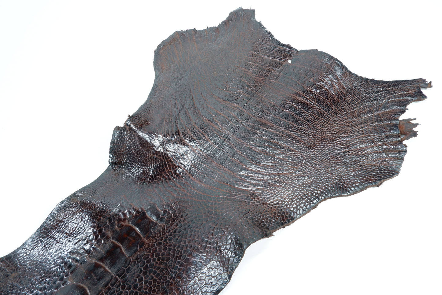 Genuine Ostrich Leg Skin with Claw Leather Hide Pelt