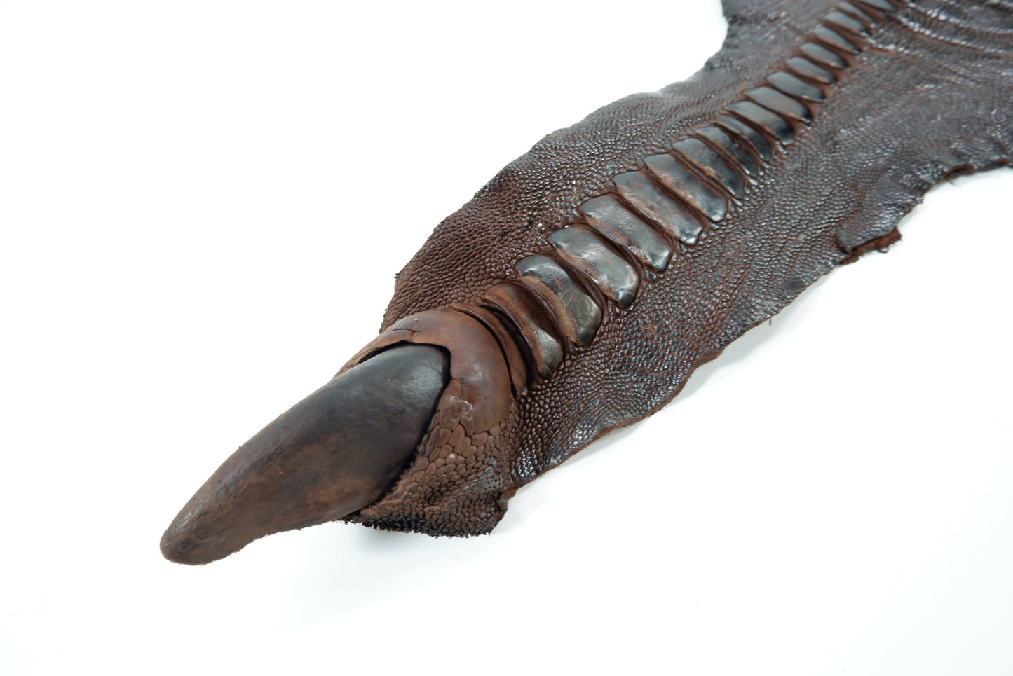 Genuine Ostrich Leg Skin with Claw Leather Hide Pelt