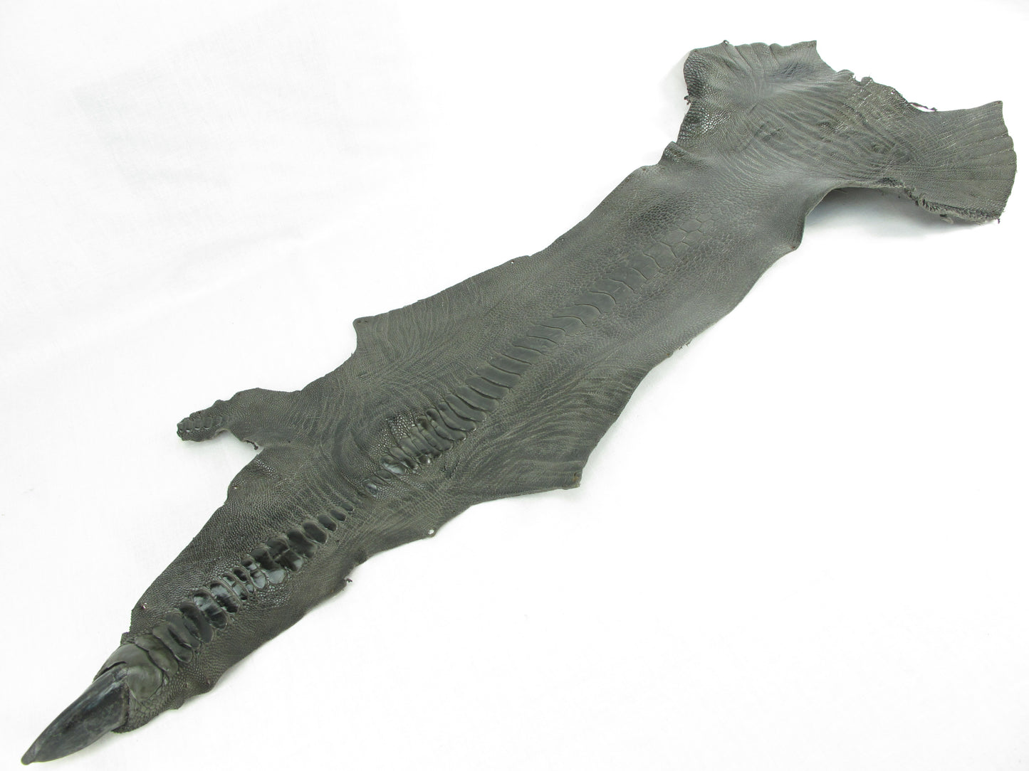 Genuine Ostrich Leg Skin with Claw Leather Hide Pelt