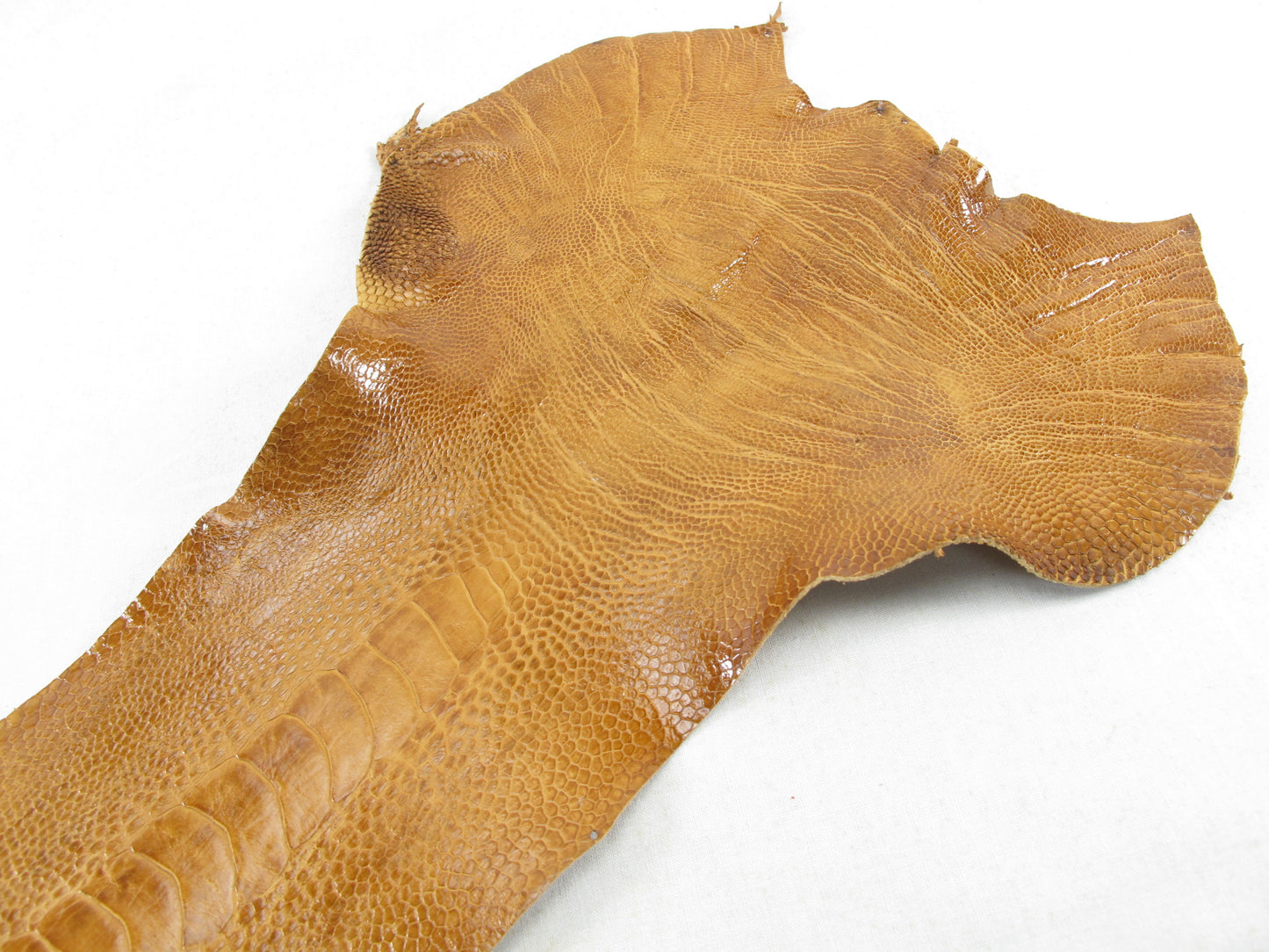 Genuine Ostrich Leg Skin with Claw Leather Hide Pelt