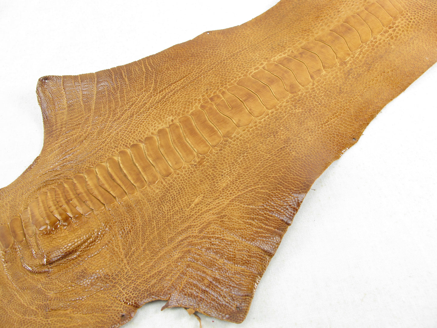 Genuine Ostrich Leg Skin with Claw Leather Hide Pelt
