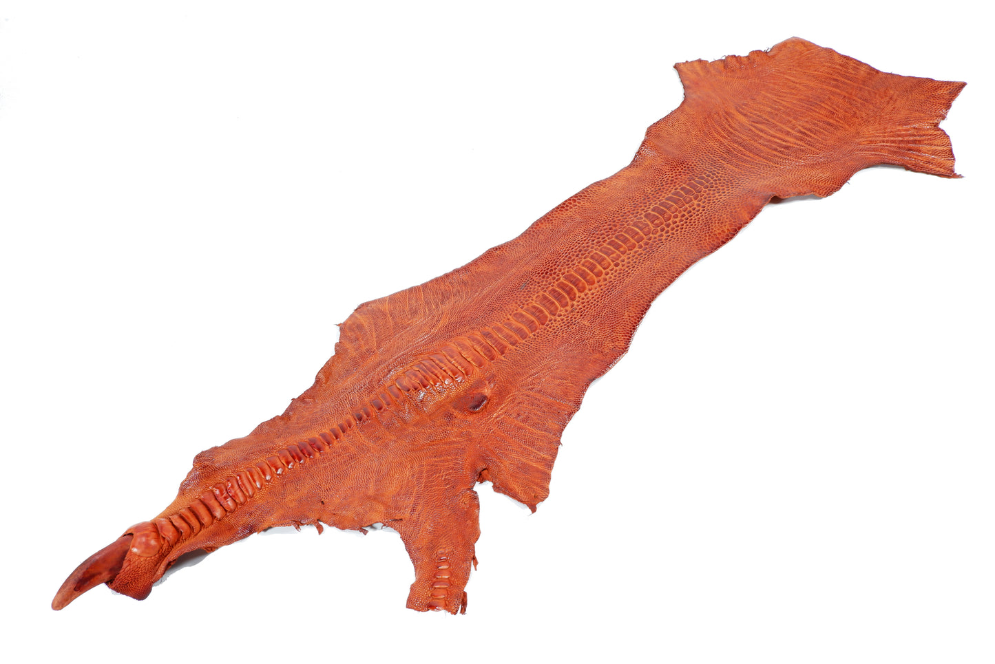 Genuine Ostrich Leg Skin with Claw Leather Hide Pelt