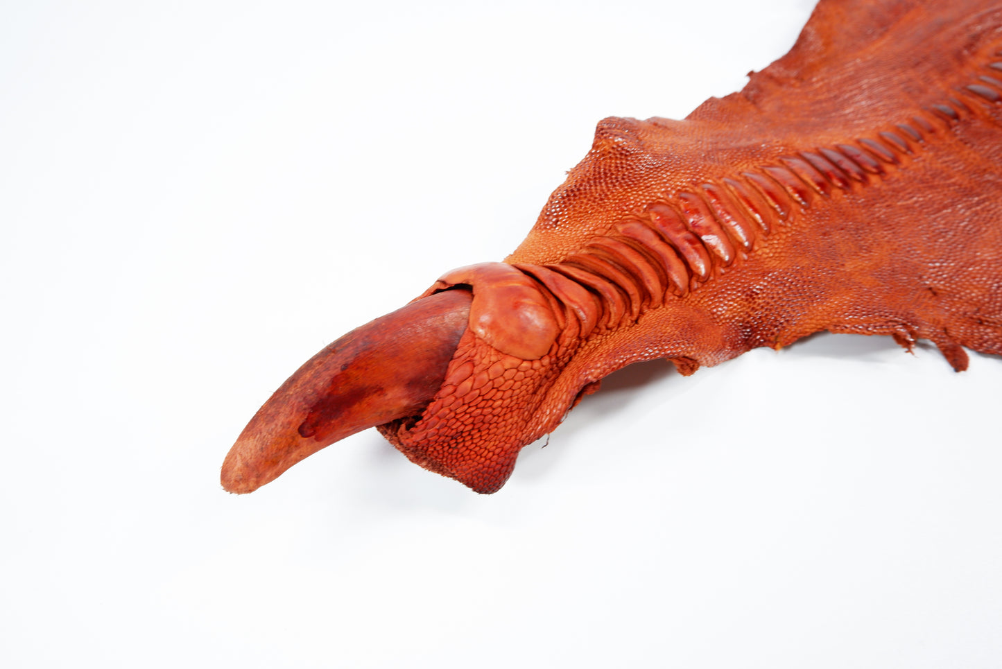 Genuine Ostrich Leg Skin with Claw Leather Hide Pelt