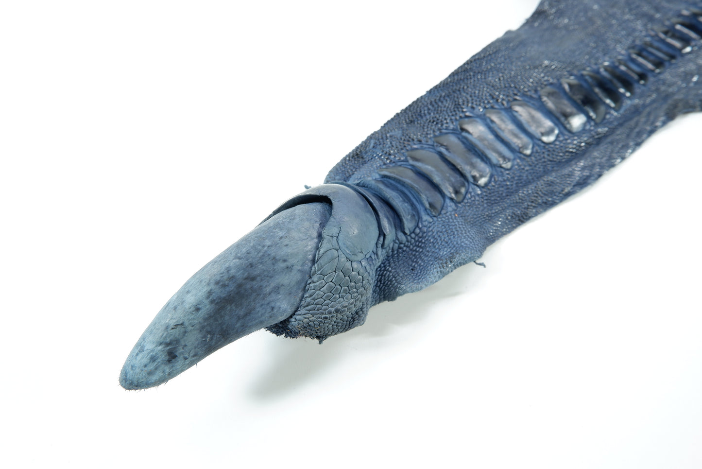 Genuine Ostrich Leg Skin with Claw Leather Hide Pelt