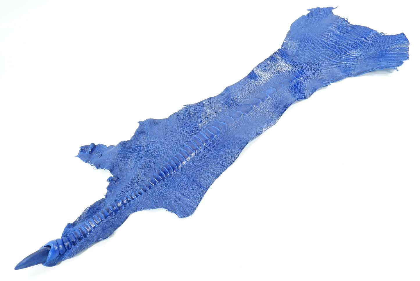 Genuine Ostrich Leg Skin with Claw Leather Hide Pelt