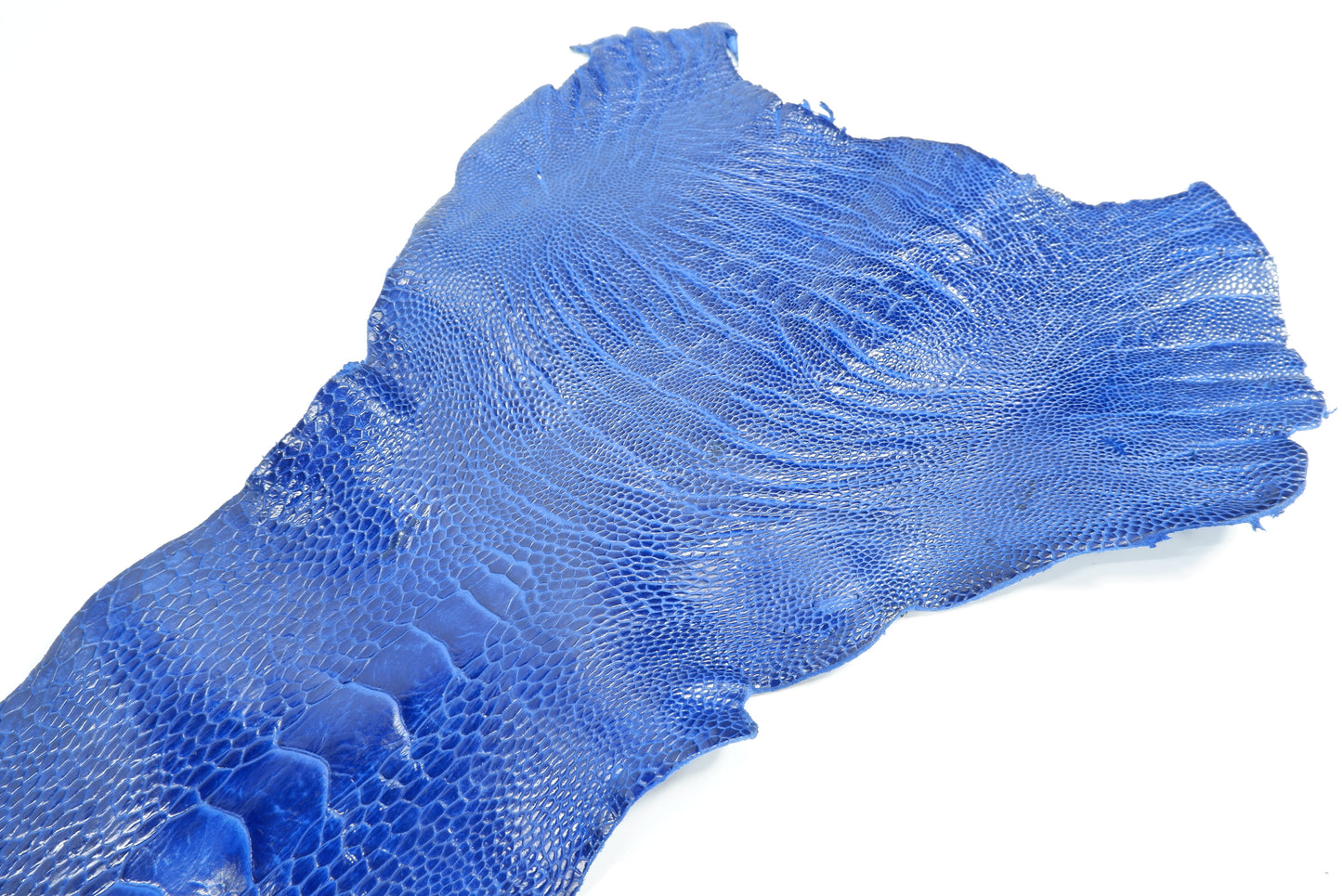 Genuine Ostrich Leg Skin with Claw Leather Hide Pelt