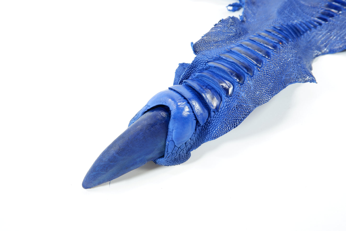 Genuine Ostrich Leg Skin with Claw Leather Hide Pelt