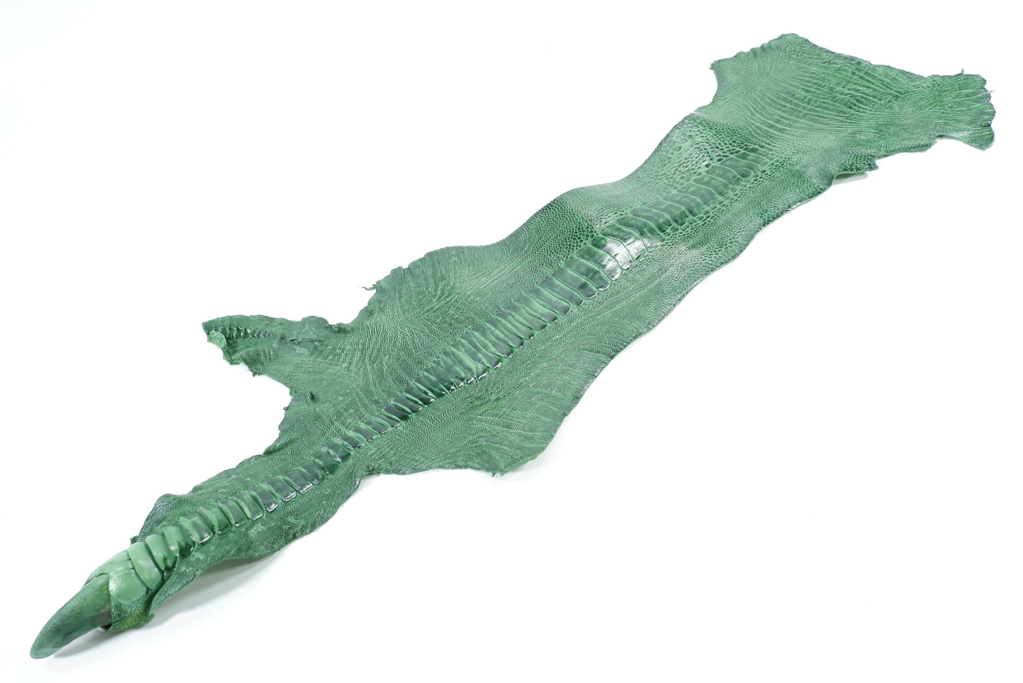 Genuine Ostrich Leg Skin with Claw Leather Hide Pelt