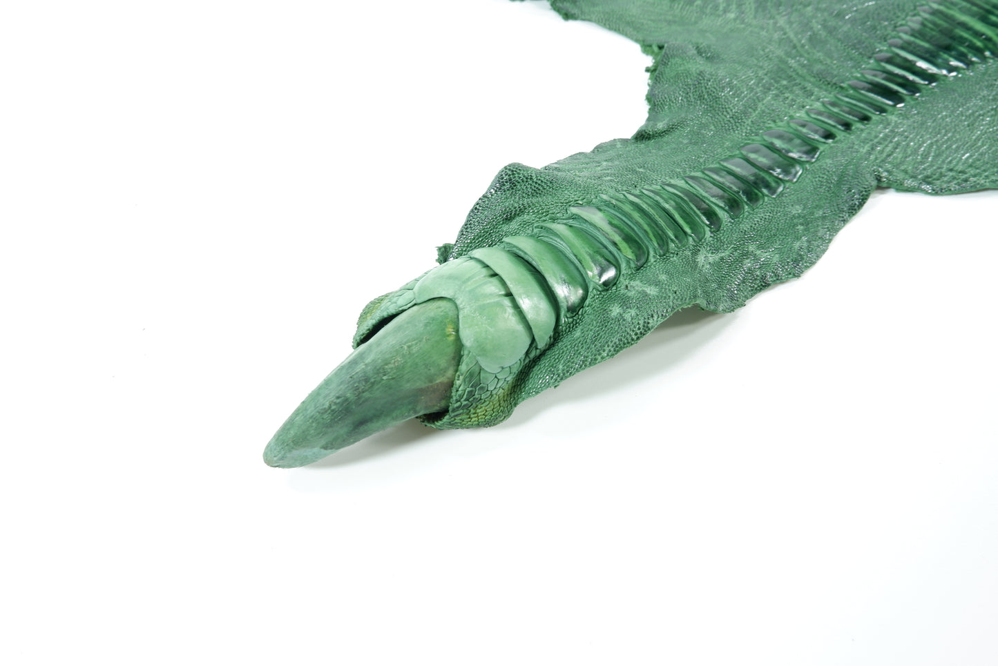 Genuine Ostrich Leg Skin with Claw Leather Hide Pelt