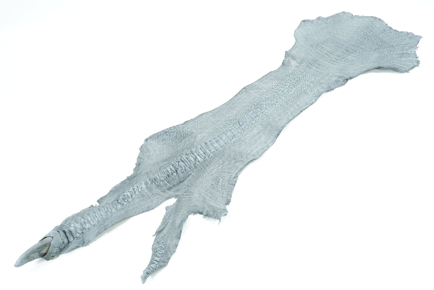 Genuine Ostrich Leg Skin with Claw Leather Hide Pelt